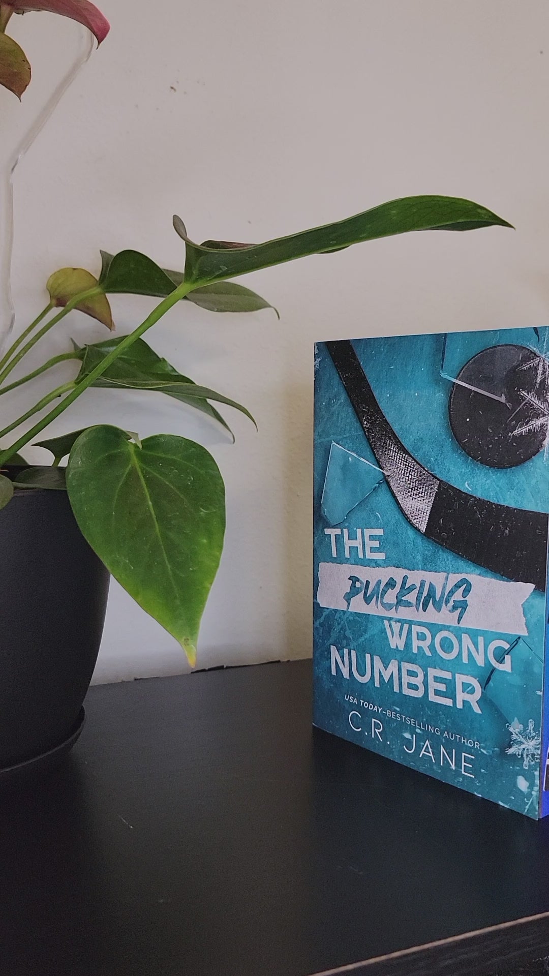 The Pucking Wrong Series Sprayed Edge Set