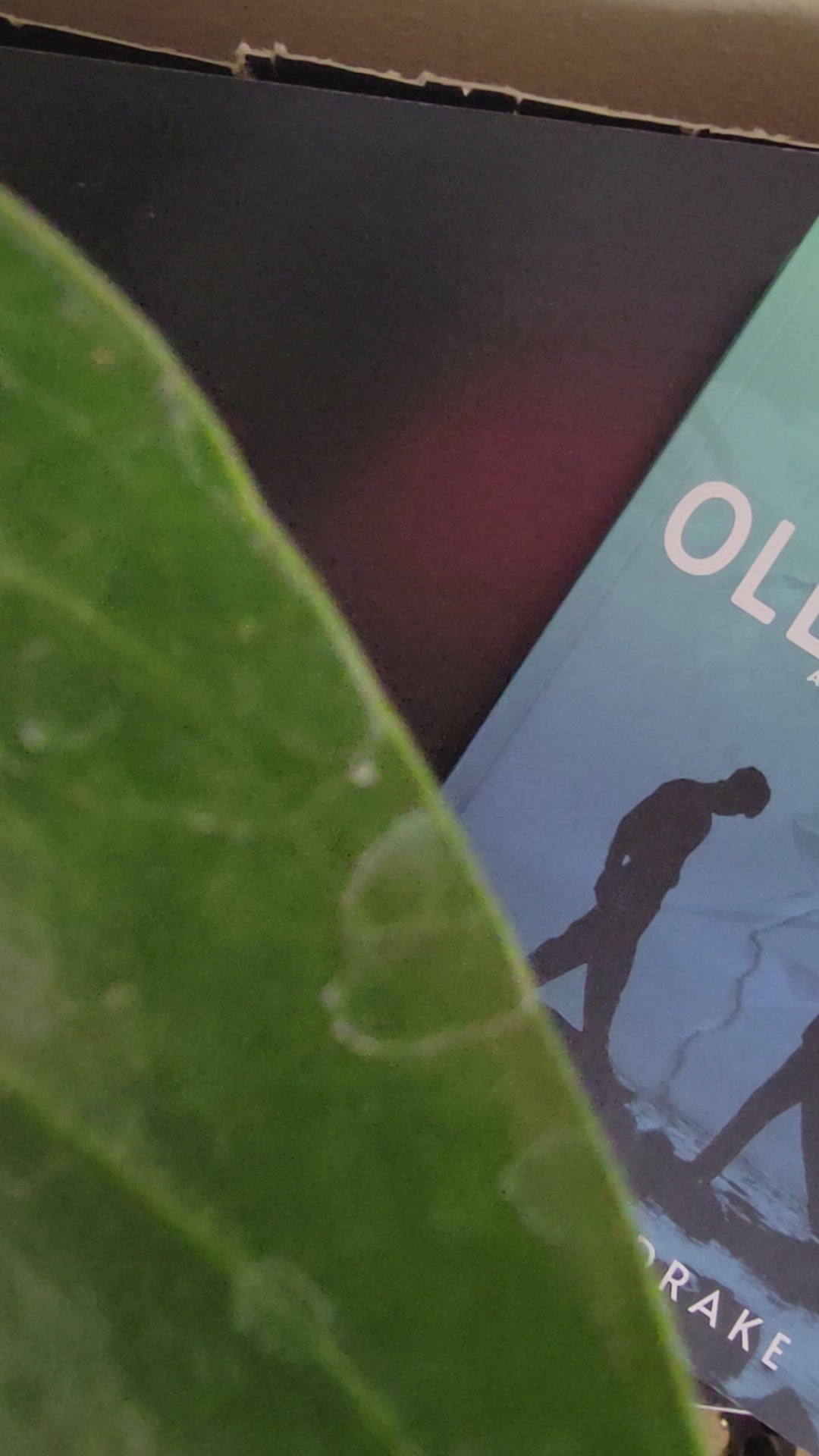 Oleander Sprayed Edge Book