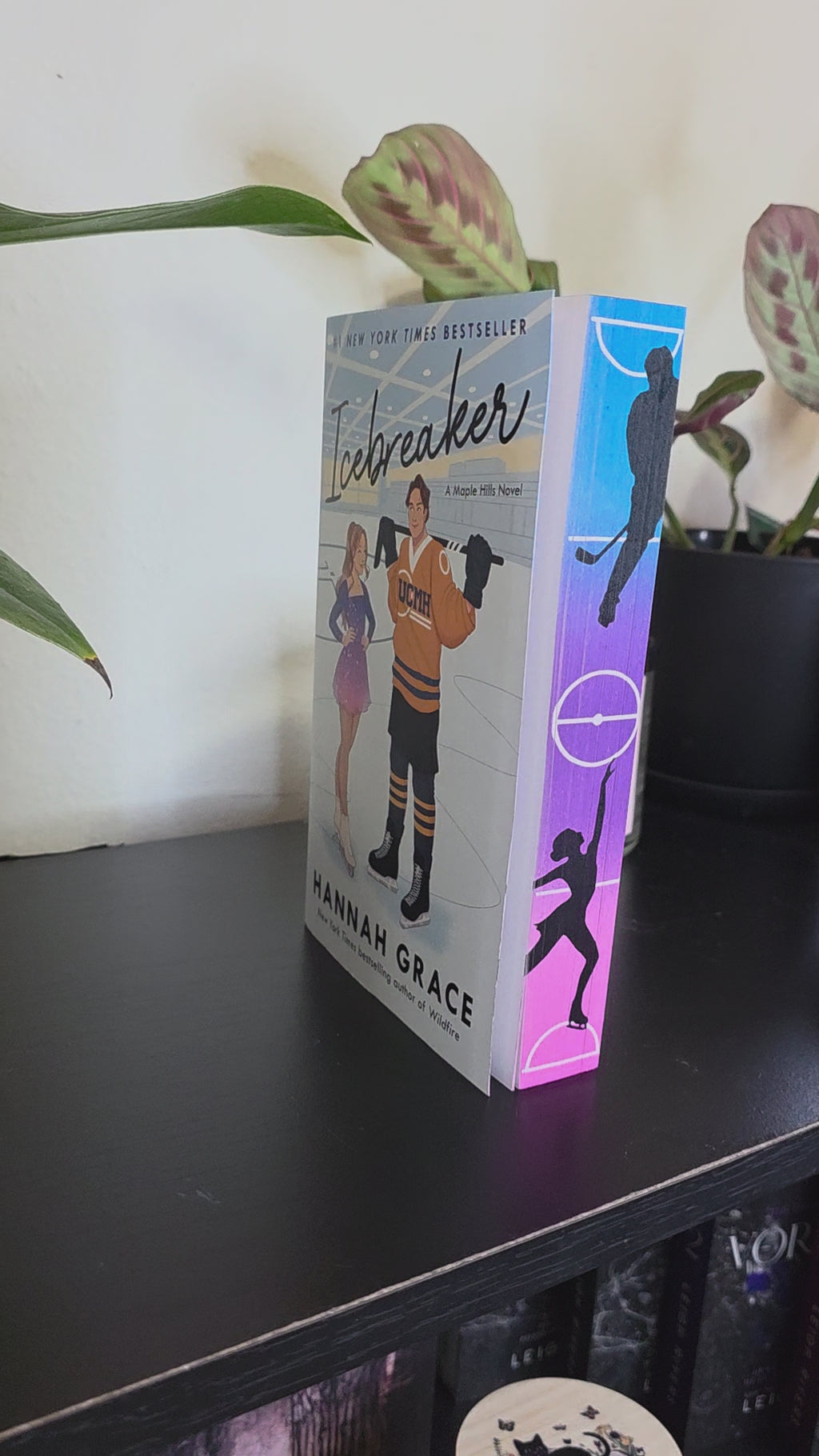 Icebreaker Sprayed Edge Book