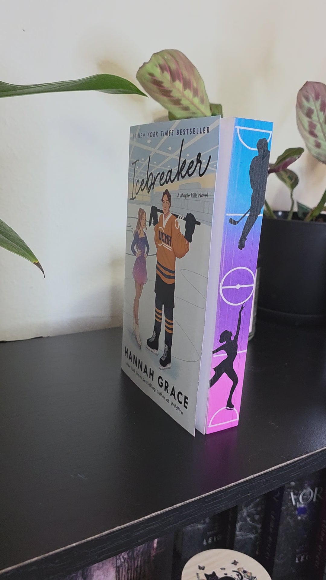 Icebreaker Sprayed Edge Book