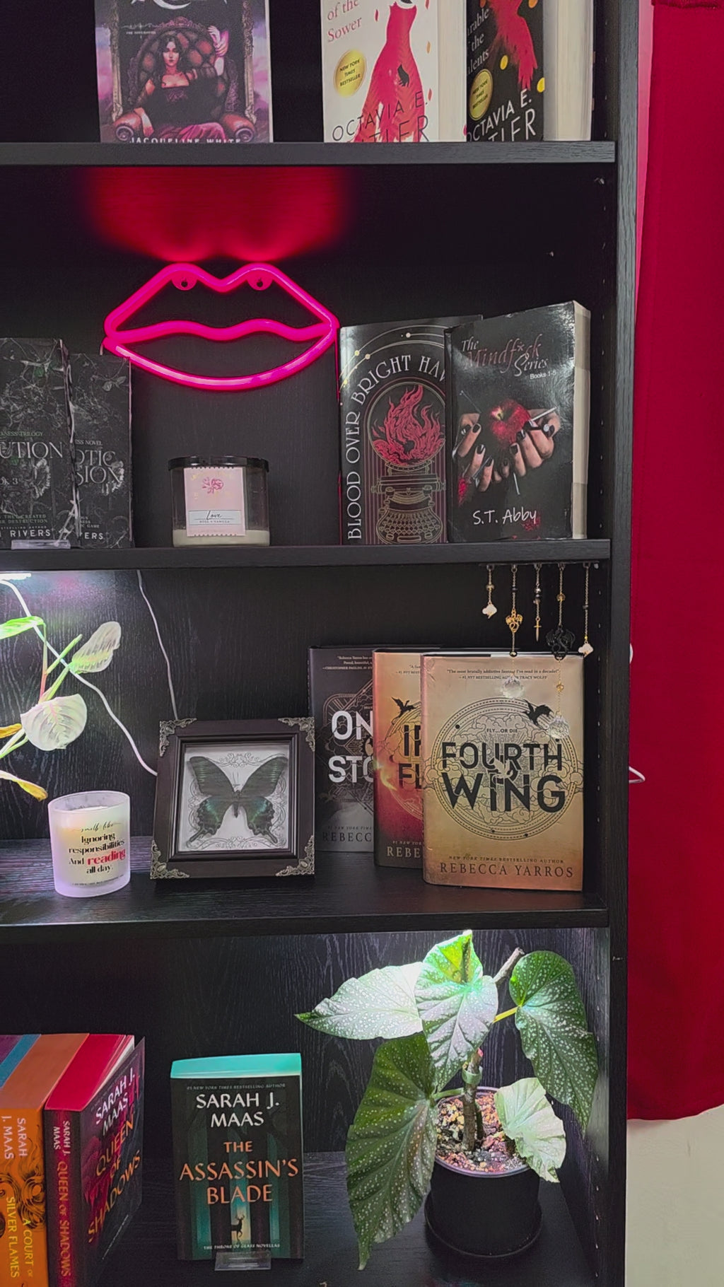 Dragons & Lightning Bookshelf Charms