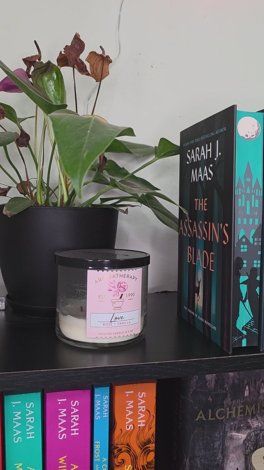 Throne of Glass Series Sprayed Edge Set