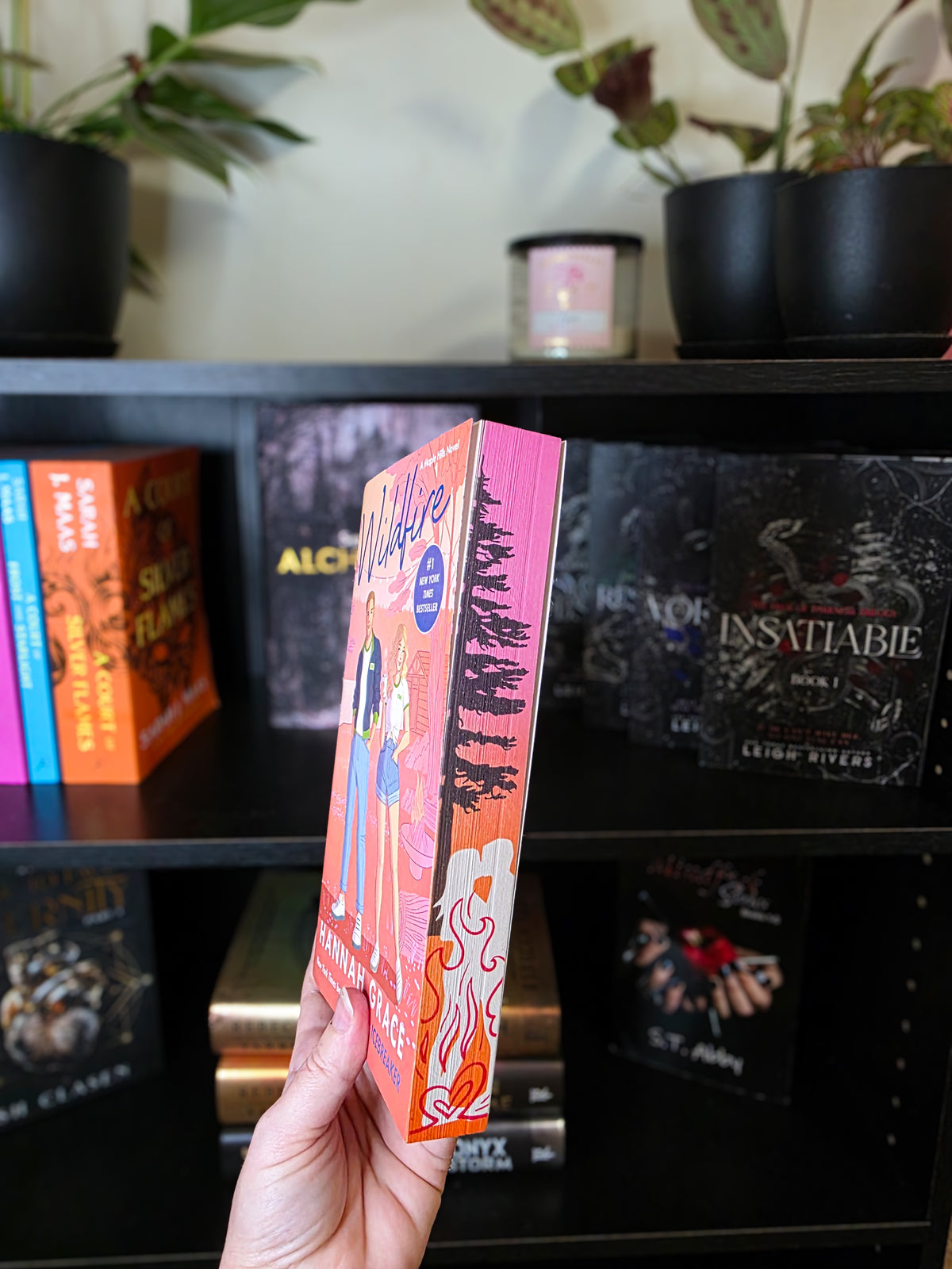 Wildfire Sprayed Edge Book