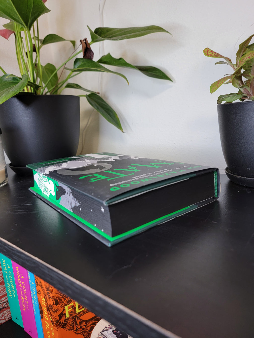 Mate Sprayed Edge Book