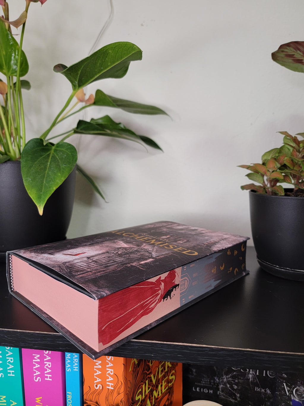 Alchamised Sprayed Edge Book