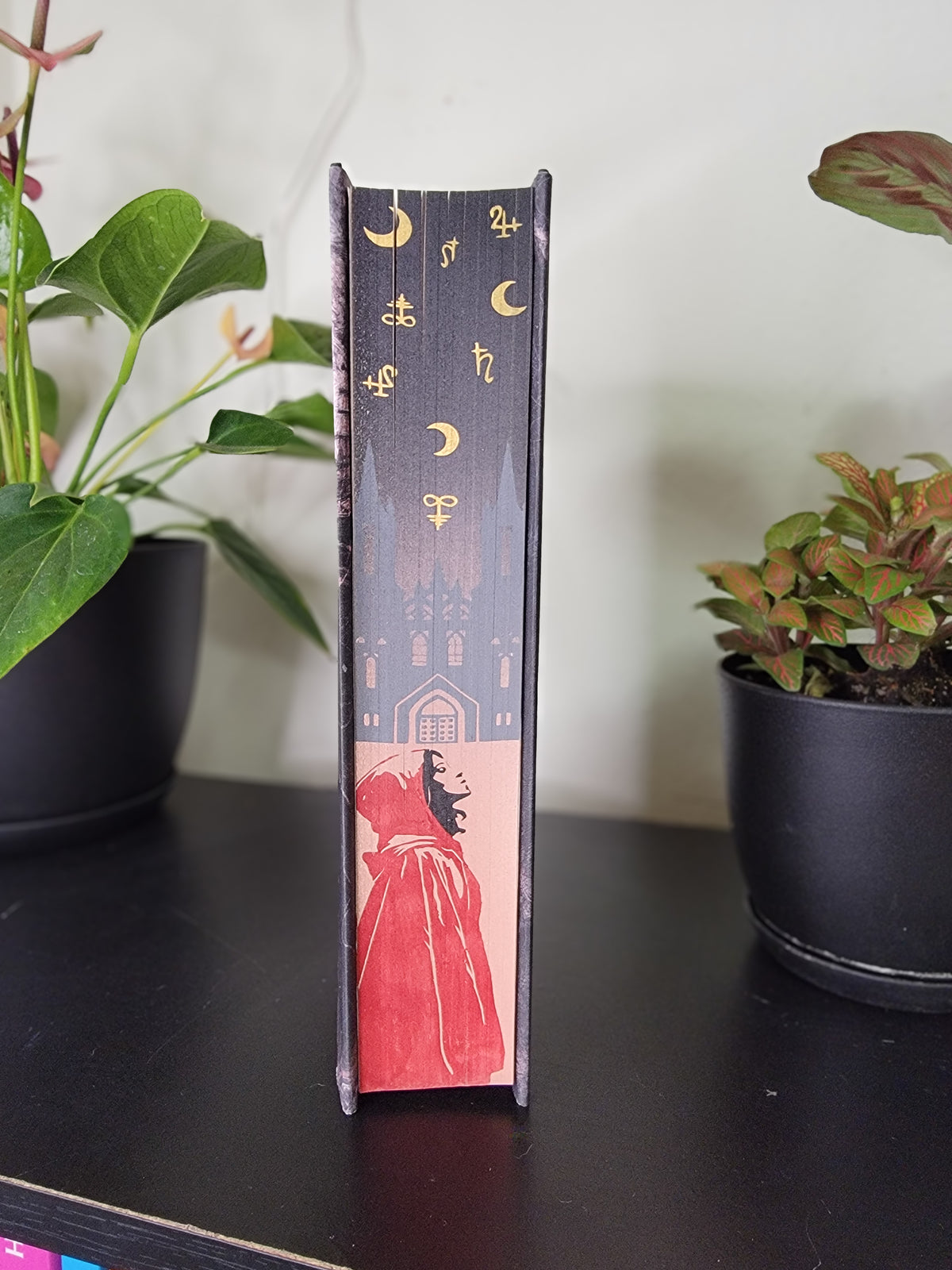 Alchamised Sprayed Edge Book