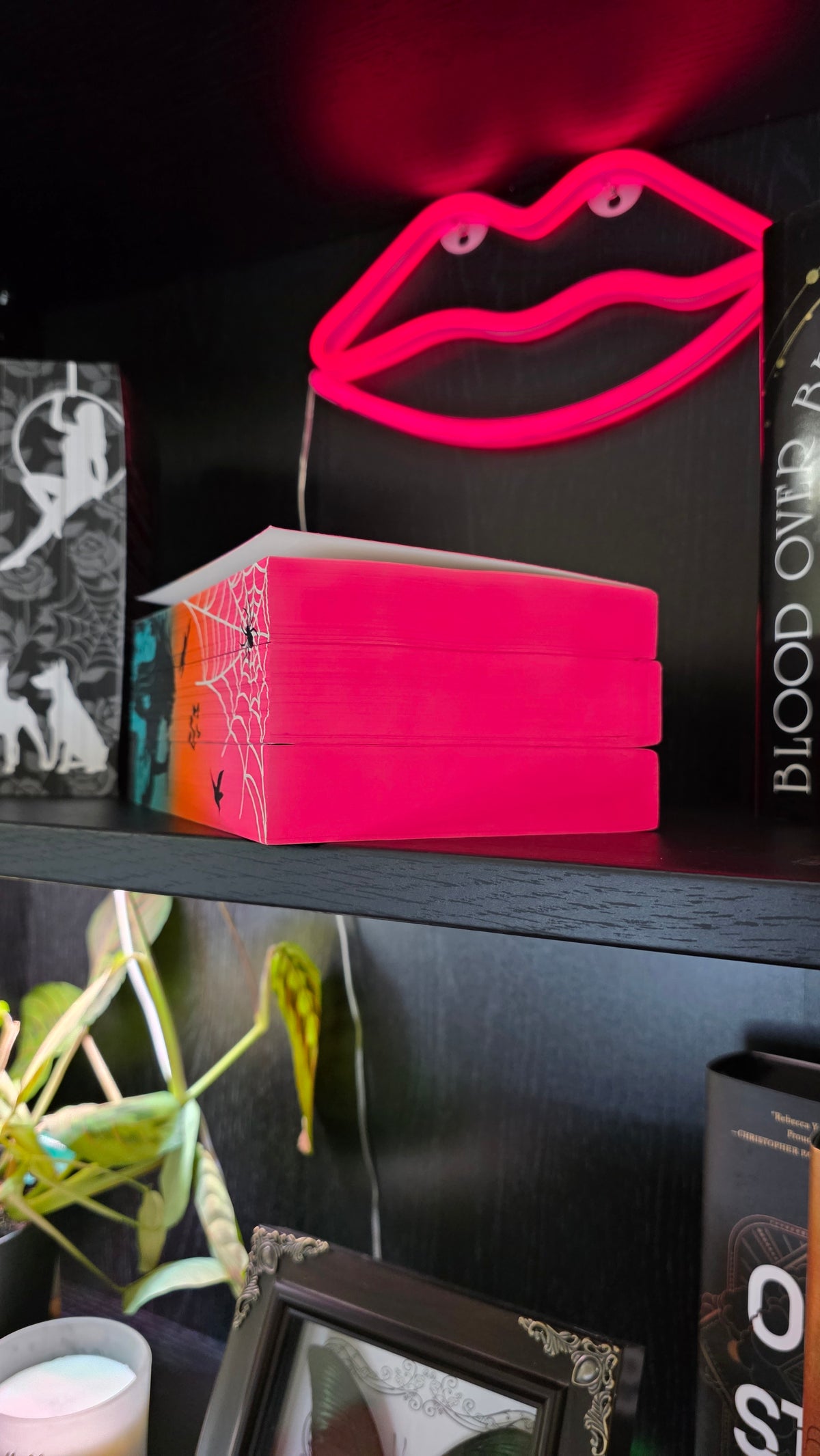 The Ruinous Love Trilogy Sprayed Edge Set
