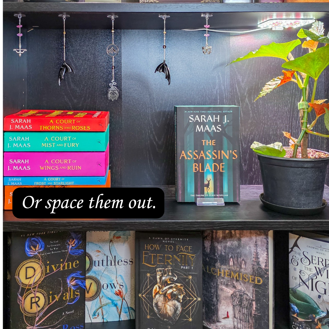 Wings & Stars Bookshelf Charms