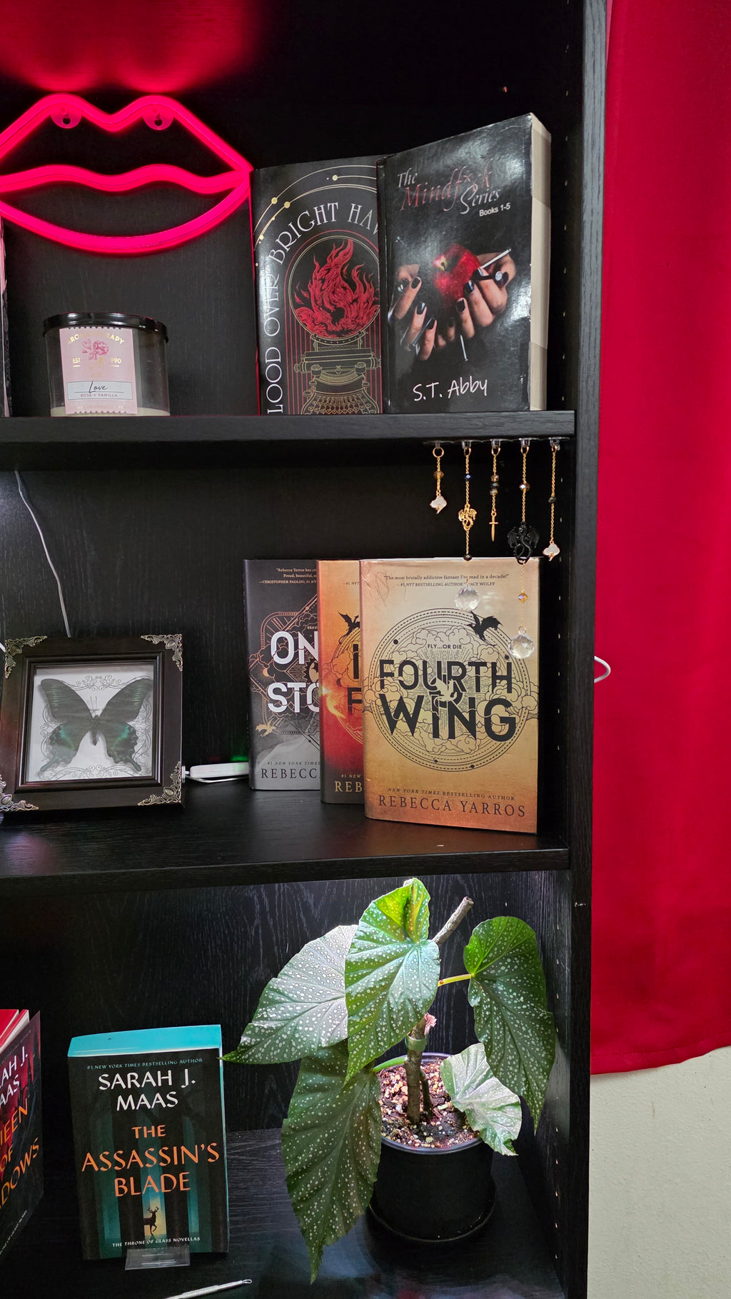 Dragons & Lightning Bookshelf Charms