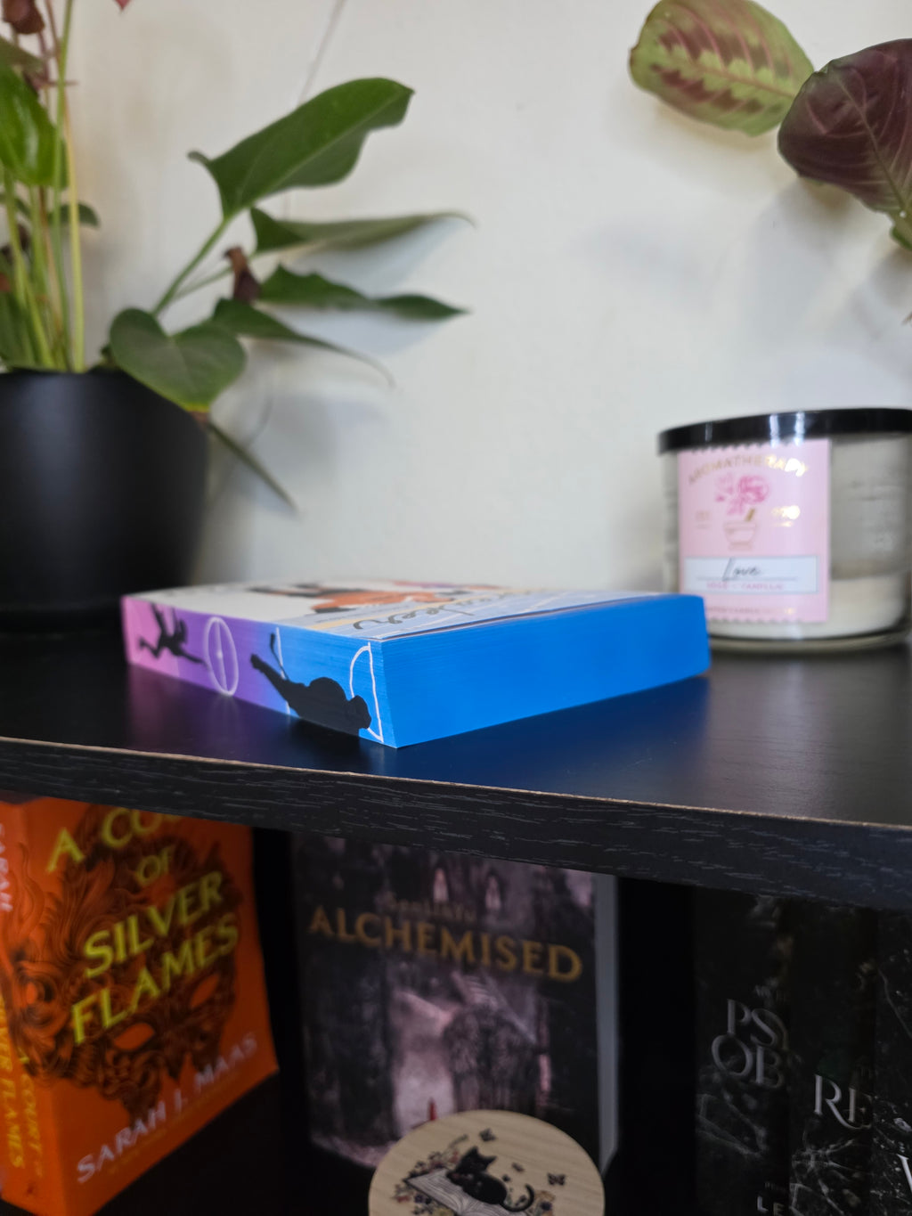 Icebreaker Sprayed Edge Book